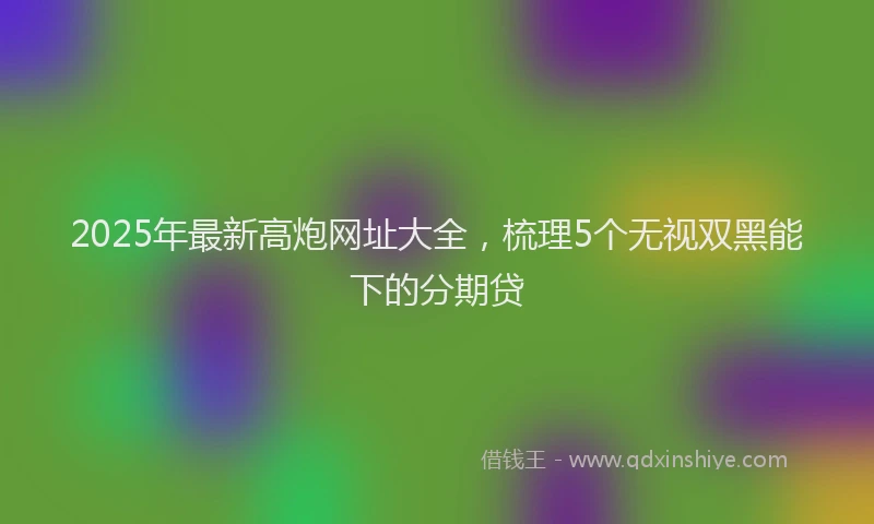 2025年最新高炮网址大全，梳理5个无视双黑能下的分期贷