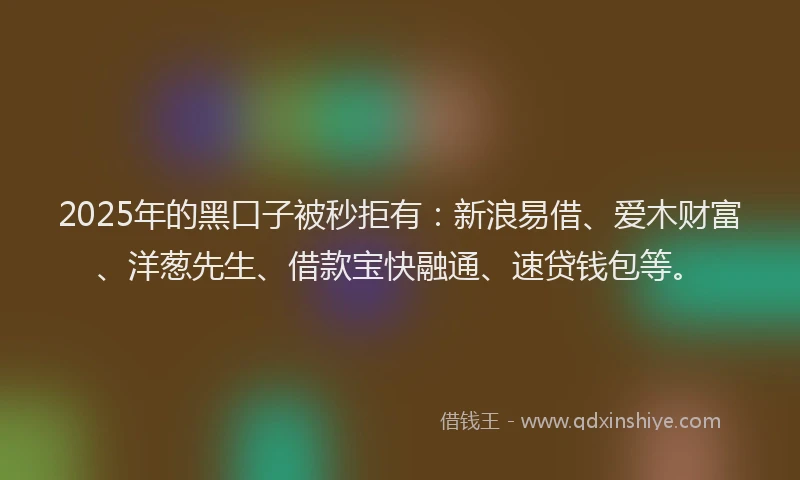 2025年的黑口子被秒拒有：新浪易借、爱木财富、洋葱先生、借款宝快融通、速贷钱包等。