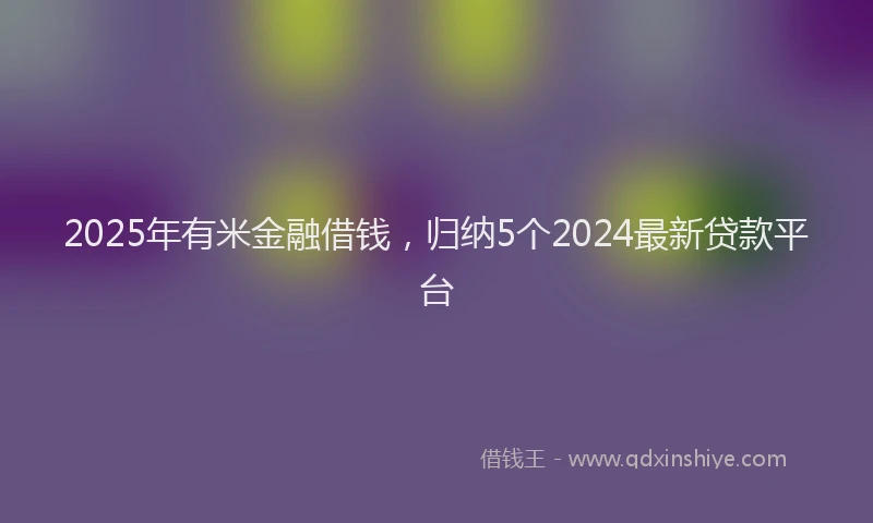 2025年有米金融借钱，归纳5个2024最新贷款平台