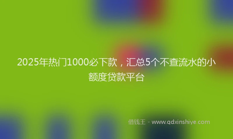2025年热门1000必下款，汇总5个不查流水的小额度贷款平台