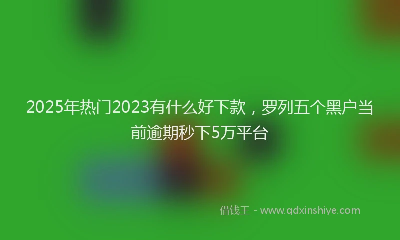 2025年热门2023有什么好下款，罗列五个黑户当前逾期秒下5万平台