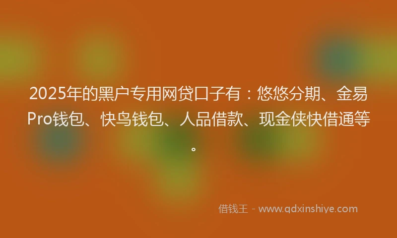2025年的黑户专用网贷口子有：悠悠分期、金易Pro钱包、快鸟钱包、人品借款、现金侠快借通等。