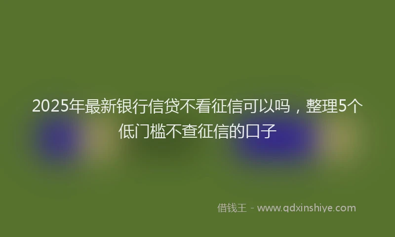 2025年最新银行信贷不看征信可以吗，整理5个低门槛不查征信的口子