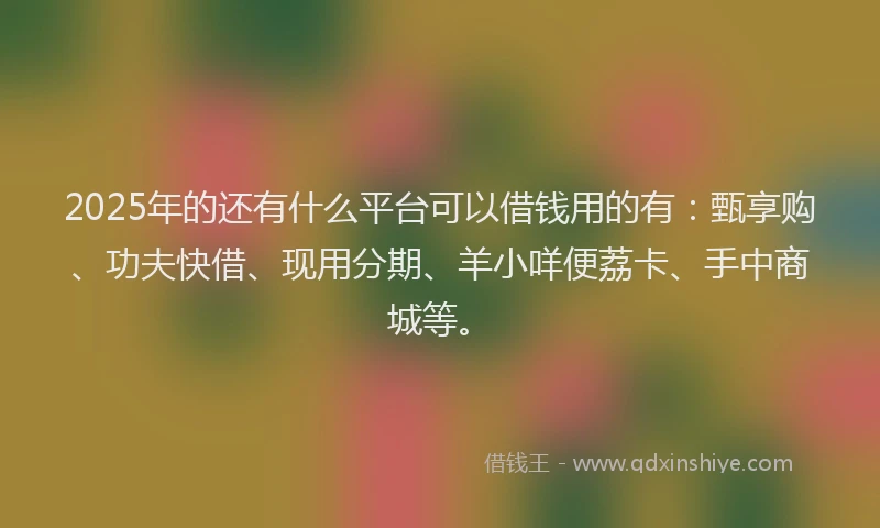 2025年的还有什么平台可以借钱用的有：甄享购、功夫快借、现用分期、羊小咩便荔卡、手中商城等。