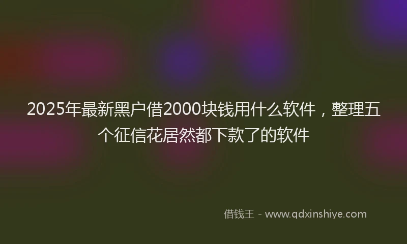 2025年最新黑户借2000块钱用什么软件，整理五个征信花居然都下款了的软件