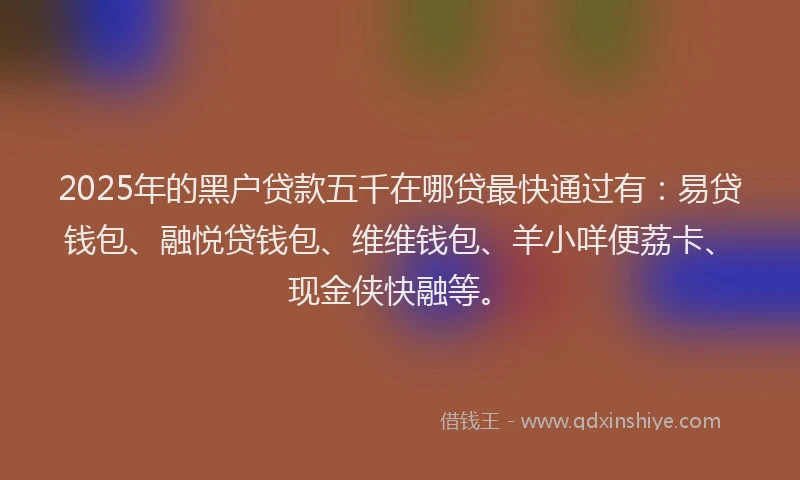2025年的黑户贷款五千在哪贷最快通过有：易贷钱包、融悦贷钱包、维维钱包、羊小咩便荔卡、现金侠快融等。