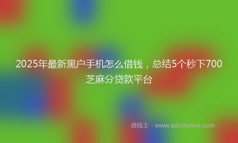 2025年最新黑户手机怎么借钱，总结5个秒下700芝麻分贷款平台