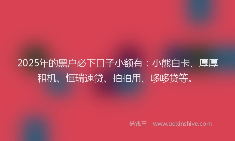 2025年的黑户必下口子小额有：小熊白卡、厚厚租机、恒瑞速贷、拍拍用、哆哆贷等。