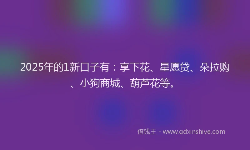 2025年的1新口子有：享下花、星愿贷、朵拉购、小狗商城、葫芦花等。
