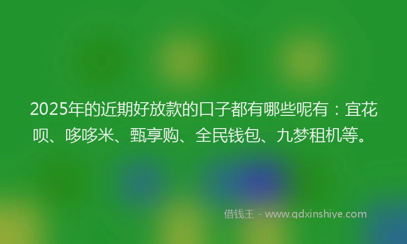 2025年的近期好放款的口子都有哪些呢有：宜花呗、哆哆米、甄享购、全民钱包、九梦租机等。