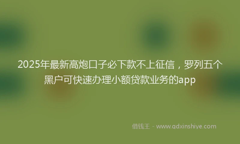 2025年最新高炮口子必下款不上征信，罗列五个黑户可快速办理小额贷款业务的app