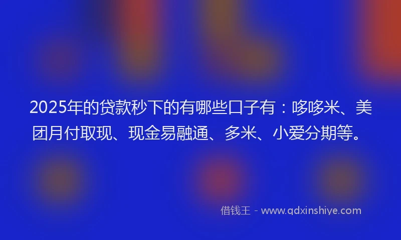 2025年的贷款秒下的有哪些口子有：哆哆米、美团月付取现、现金易融通、多米、小爱分期等。