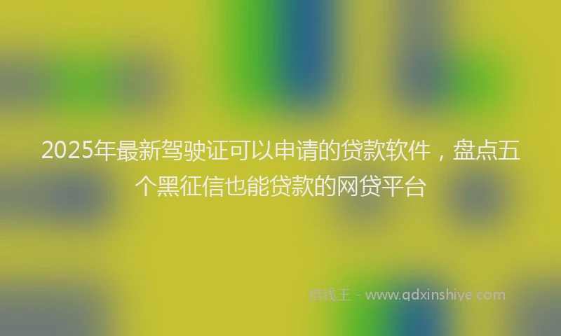 2025年最新驾驶证可以申请的贷款软件，盘点五个黑征信也能贷款的网贷平台