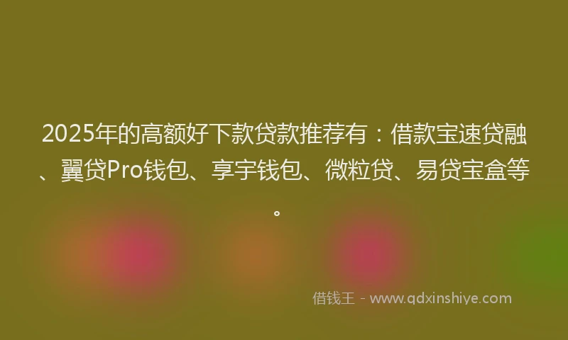 2025年的高额好下款贷款推荐有：借款宝速贷融、翼贷Pro钱包、享宇钱包、微粒贷、易贷宝盒等。