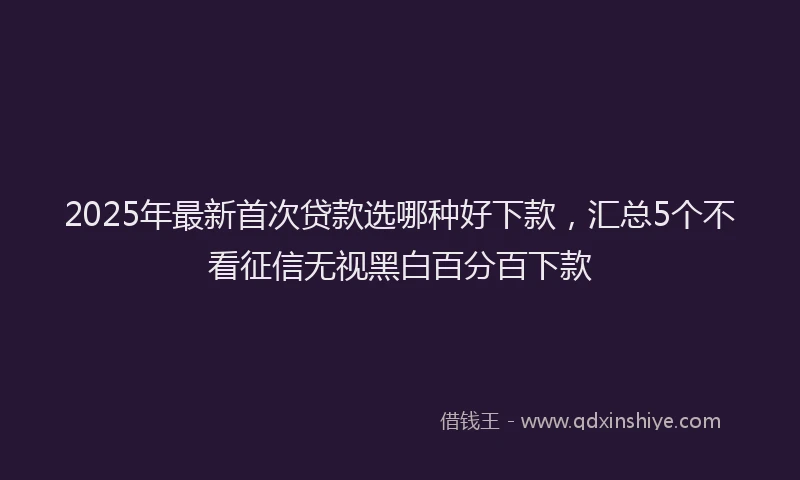 2025年最新首次贷款选哪种好下款，汇总5个不看征信无视黑白百分百下款