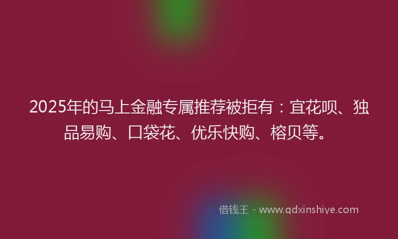 2025年的马上金融专属推荐被拒有：宜花呗、独品易购、口袋花、优乐快购、榕贝等。