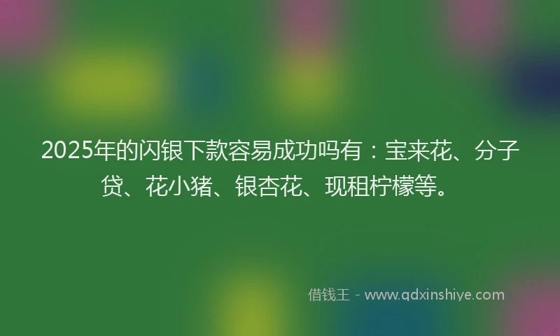 2025年的闪银下款容易成功吗有：宝来花、分子贷、花小猪、银杏花、现租柠檬等。
