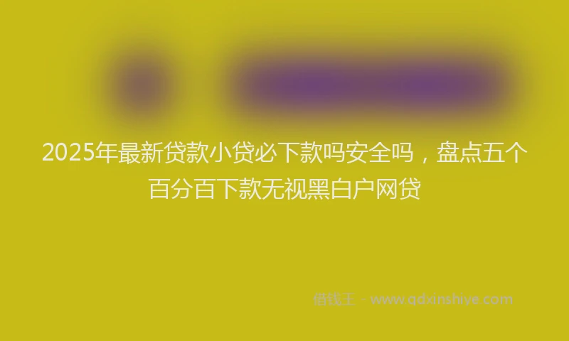 2025年最新贷款小贷必下款吗安全吗，盘点五个百分百下款无视黑白户网贷