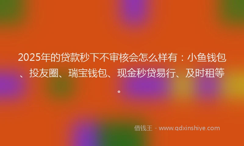 2025年的贷款秒下不审核会怎么样有：小鱼钱包、投友圈、瑞宝钱包、现金秒贷易行、及时租等。