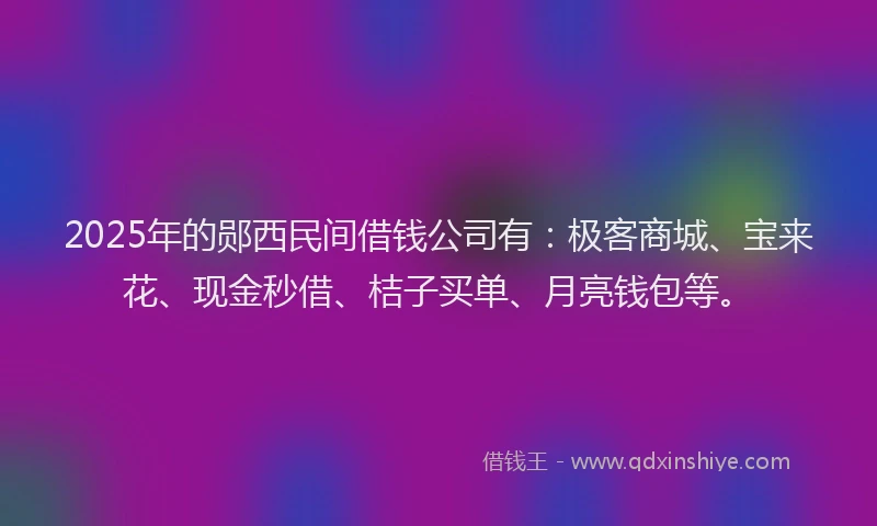 2025年的郧西民间借钱公司有：极客商城、宝来花、现金秒借、桔子买单、月亮钱包等。