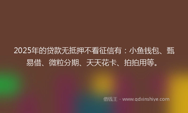 2025年的贷款无抵押不看征信有：小鱼钱包、甄易借、微粒分期、天天花卡、拍拍用等。