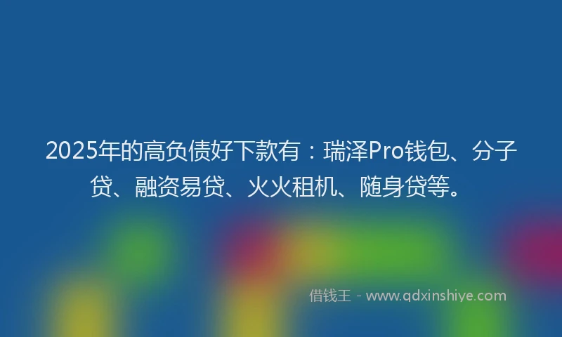 2025年的高负债好下款有：瑞泽Pro钱包、分子贷、融资易贷、火火租机、随身贷等。