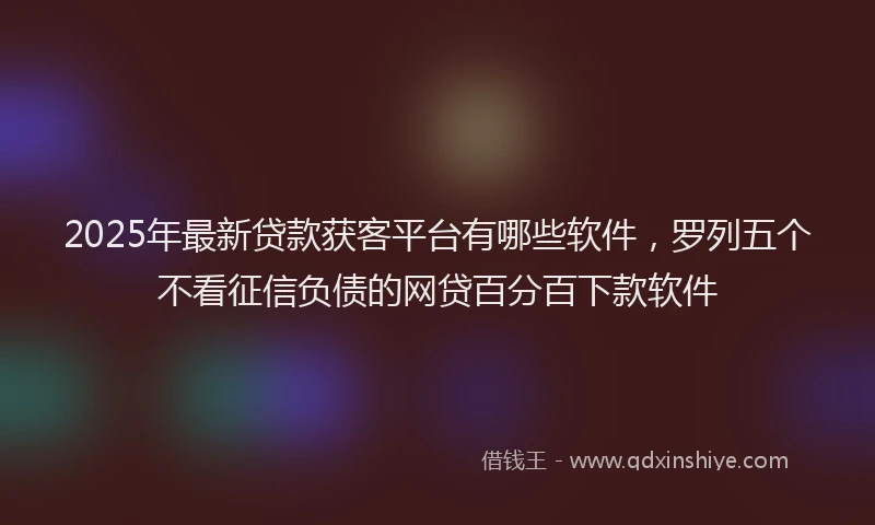 2025年最新贷款获客平台有哪些软件，罗列五个不看征信负债的网贷百分百下款软件