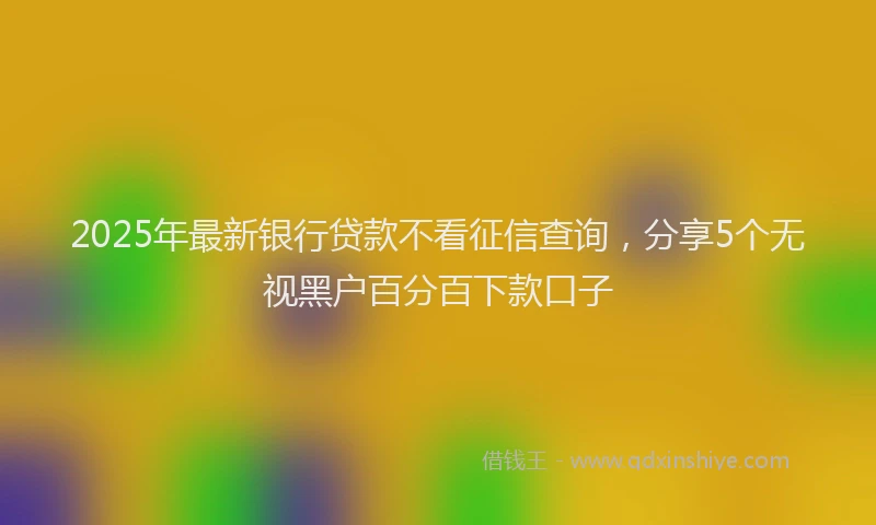 2025年最新银行贷款不看征信查询，分享5个无视黑户百分百下款口子
