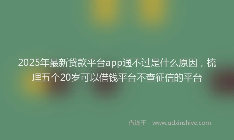 2025年最新贷款平台app通不过是什么原因，梳理五个20岁可以借钱平台不查征信的平台