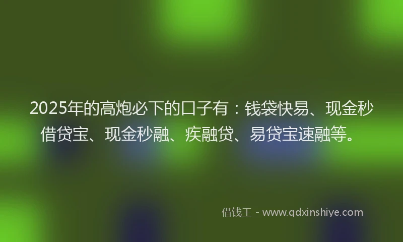 2025年的高炮必下的口子有：钱袋快易、现金秒借贷宝、现金秒融、疾融贷、易贷宝速融等。