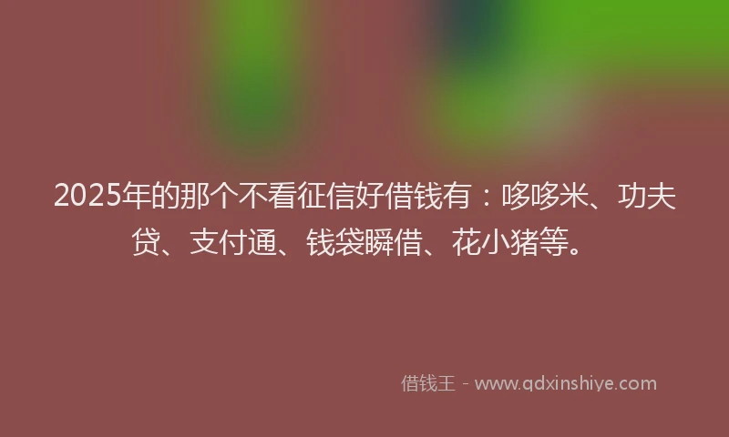2025年的那个不看征信好借钱有：哆哆米、功夫贷、支付通、钱袋瞬借、花小猪等。