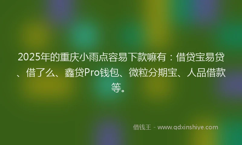 2025年的重庆小雨点容易下款嘛有：借贷宝易贷、借了么、鑫贷Pro钱包、微粒分期宝、人品借款等。