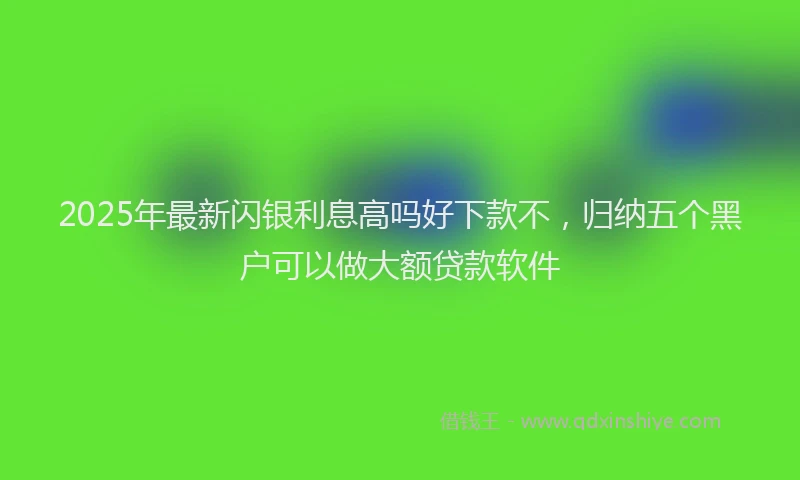 2025年最新闪银利息高吗好下款不，归纳五个黑户可以做大额贷款软件