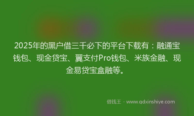 2025年的黑户借三千必下的平台下载有：融通宝钱包、现金贷宝、翼支付Pro钱包、米族金融、现金易贷宝盒融等。