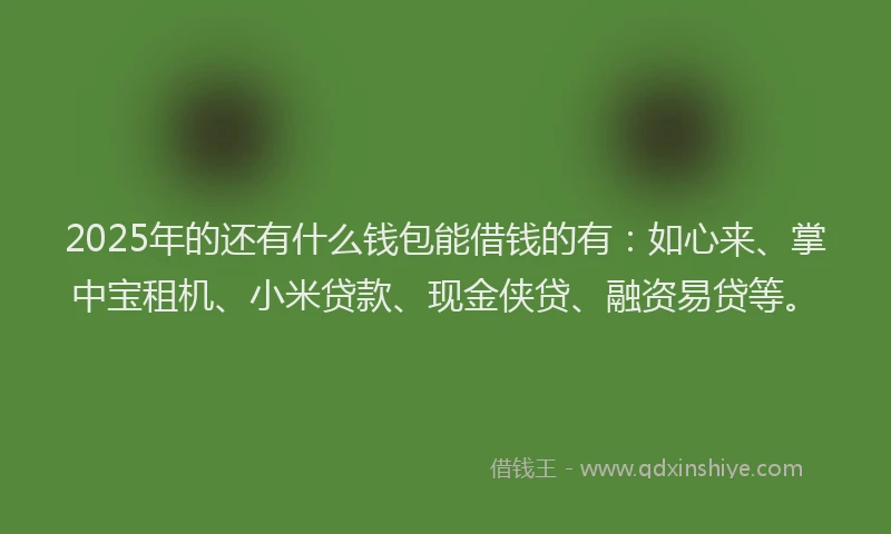 2025年的还有什么钱包能借钱的有：如心来、掌中宝租机、小米贷款、现金侠贷、融资易贷等。