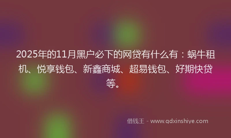 2025年的11月黑户必下的网贷有什么有：蜗牛租机、悦享钱包、新鑫商城、超易钱包、好期快贷等。