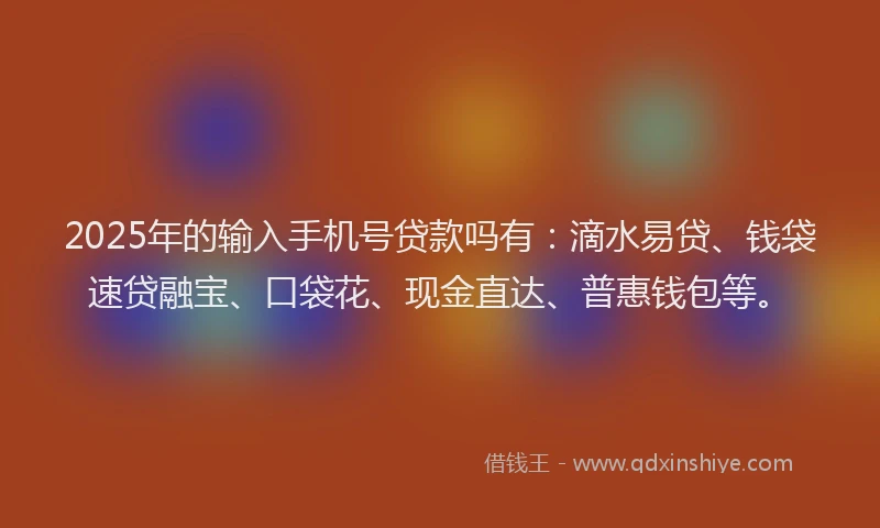 2025年的输入手机号贷款吗有：滴水易贷、钱袋速贷融宝、口袋花、现金直达、普惠钱包等。