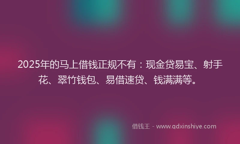 2025年的马上借钱正规不有：现金贷易宝、射手花、翠竹钱包、易借速贷、钱满满等。