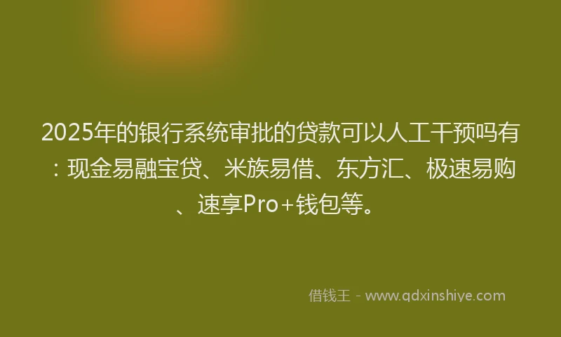 2025年的银行系统审批的贷款可以人工干预吗有：现金易融宝贷、米族易借、东方汇、极速易购、速享Pro+钱包等。