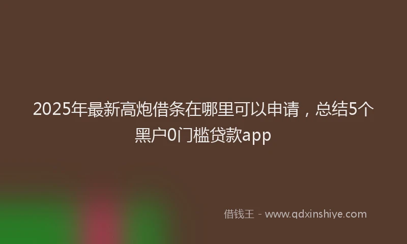 2025年最新高炮借条在哪里可以申请，总结5个黑户0门槛贷款app