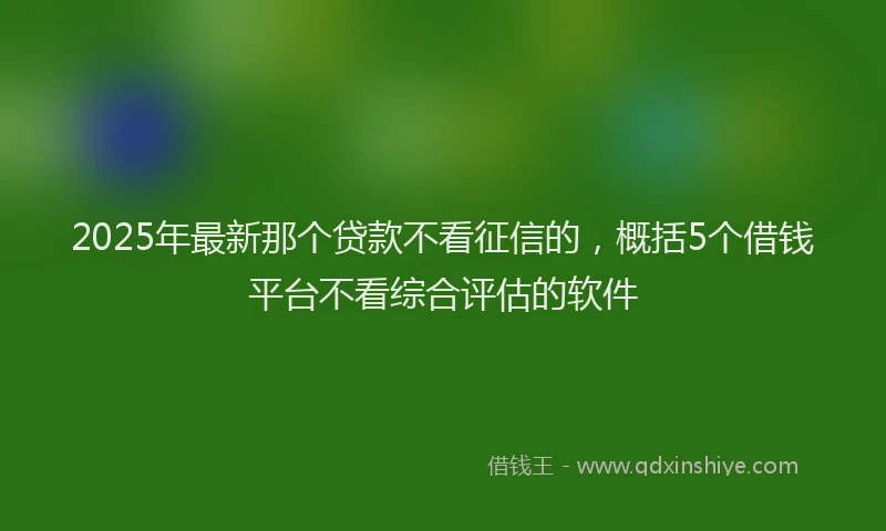 2025年最新那个贷款不看征信的，概括5个借钱平台不看综合评估的软件