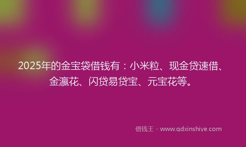 2025年的金宝袋借钱有：小米粒、现金贷速借、金瀛花、闪贷易贷宝、元宝花等。
