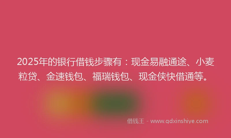2025年的银行借钱步骤有：现金易融通途、小麦粒贷、金速钱包、福瑞钱包、现金侠快借通等。