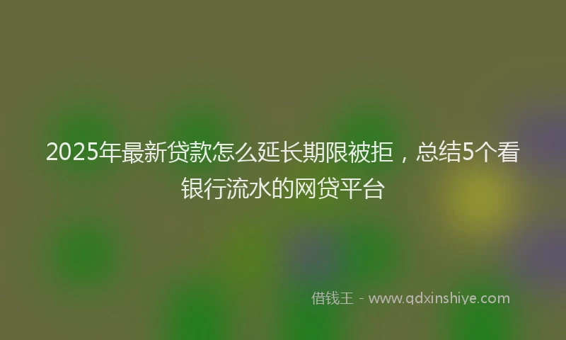 2025年最新贷款怎么延长期限被拒，总结5个看银行流水的网贷平台
