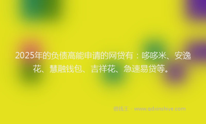 2025年的负债高能申请的网贷有：哆哆米、安逸花、慧融钱包、吉祥花、急速易贷等。
