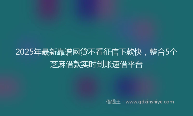 2025年最新靠谱网贷不看征信下款快，整合5个芝麻借款实时到账速借平台