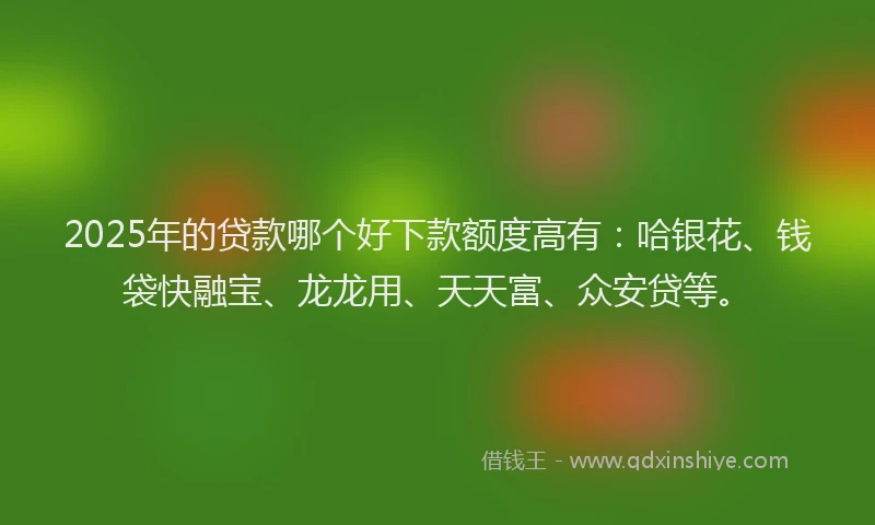 2025年的贷款哪个好下款额度高有：哈银花、钱袋快融宝、龙龙用、天天富、众安贷等。