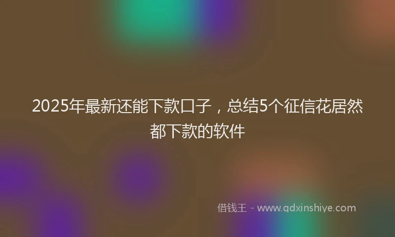 2025年最新还能下款口子，总结5个征信花居然都下款的软件