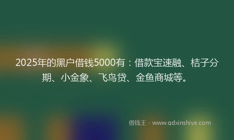 2025年的黑户借钱5000有：借款宝速融、桔子分期、小金象、飞鸟贷、金鱼商城等。