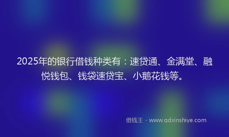 2025年的银行借钱种类有：速贷通、金满堂、融悦钱包、钱袋速贷宝、小鹅花钱等。